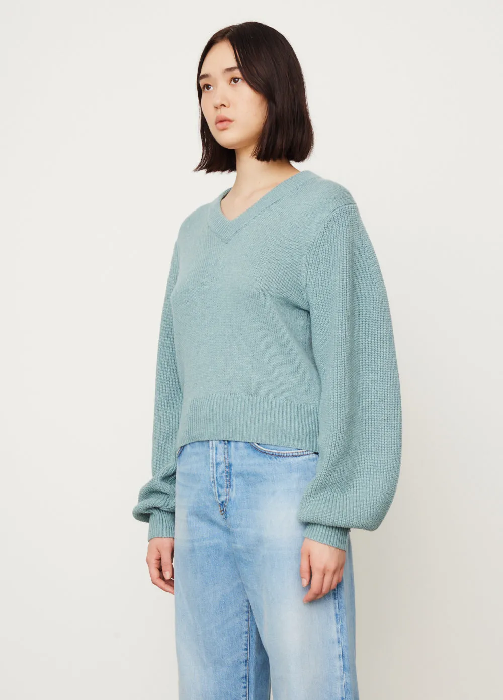 Balloon Sleeve V-Neck Knit