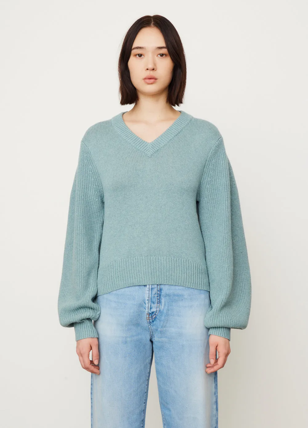 Balloon Sleeve V-Neck Knit